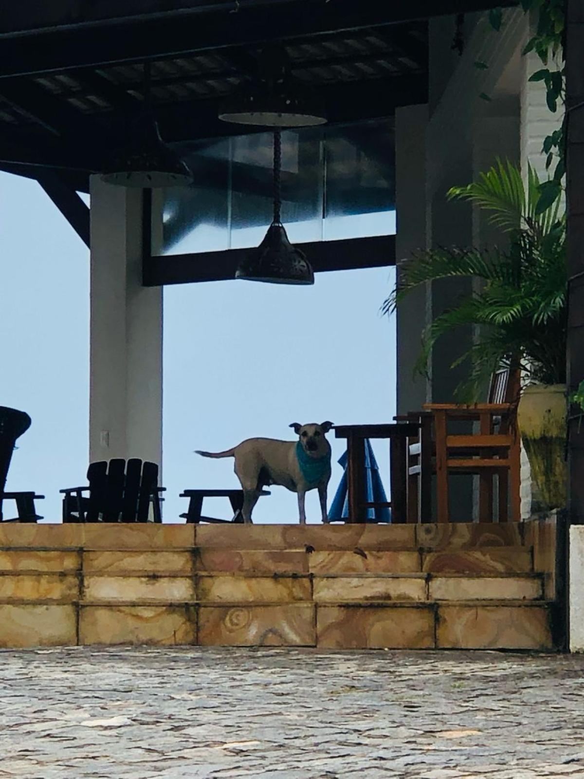 Villa Ava Kite - Guajiru Trairi Dış mekan fotoğraf